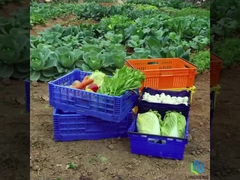 27L Leichtgewicht Klappkiste Box Gemüse Obst Umsatz Mesh Kiste mit Griffe